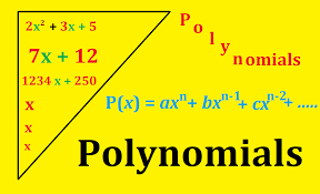4. Polynomials